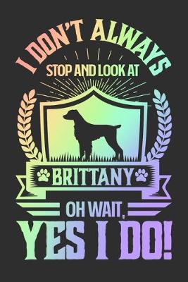 Book cover for I Don't Always Stop and Look At Brittany OH Wait, Yes I Do!