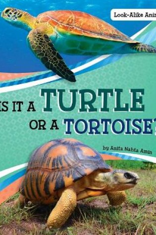 Cover of Is it a Turtle or a Tortoise