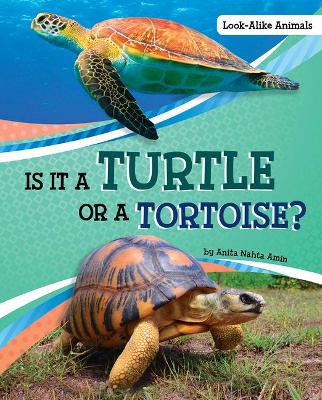 Book cover for Is it a Turtle or a Tortoise