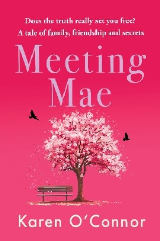 Cover of Meeting Mae