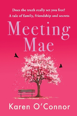 Book cover for Meeting Mae
