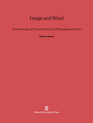 Book cover for Image and Word