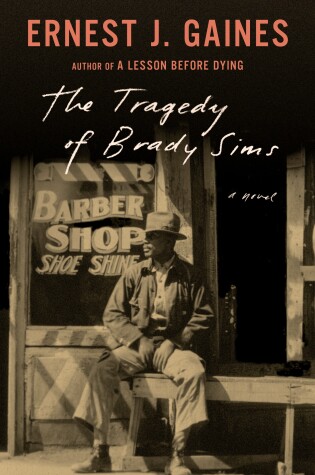 Cover of The Tragedy of Brady Sims