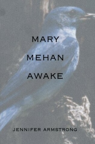 Cover of Mary Mehan Awake