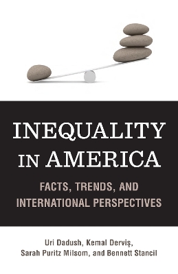 Book cover for Inequality in America