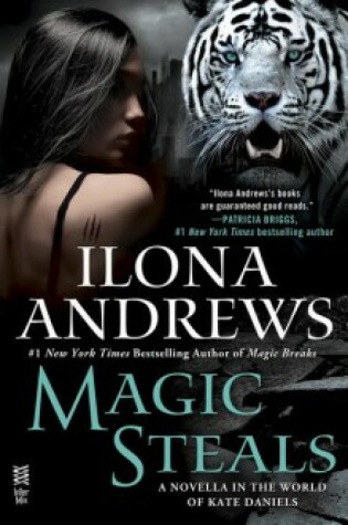 Cover of Magic Steals