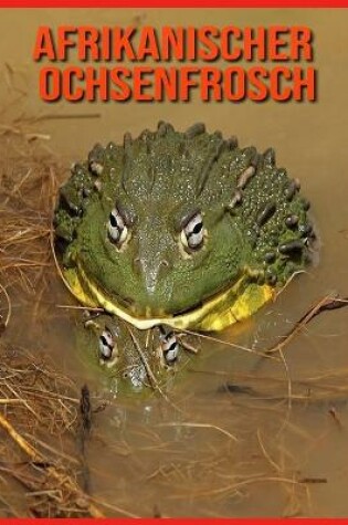 Cover of Afrikanischer Ochsenfrosch