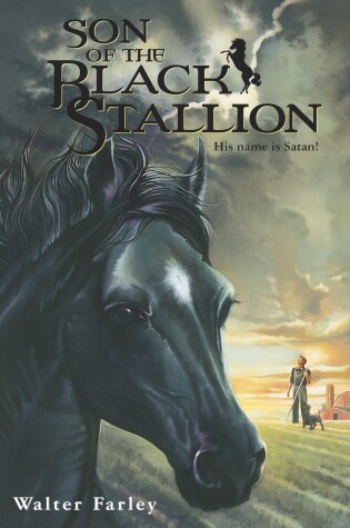 Cover of Son of the Black Stallion