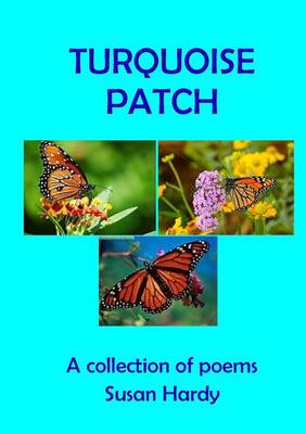 Book cover for Turquoise Patch