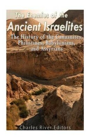 Cover of The Enemies of the Ancient Israelites