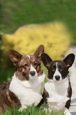 Cover of Cardigan Welsh Corgi