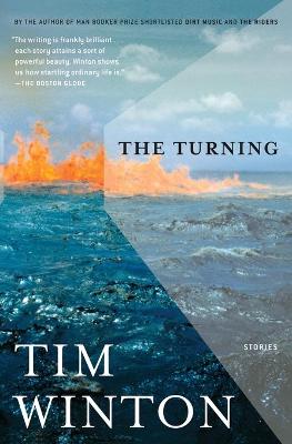 Book cover for The Turning