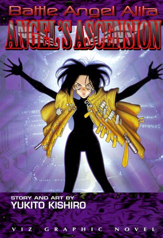 Book cover for Angel's Ascension