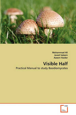 Book cover for Visible Half