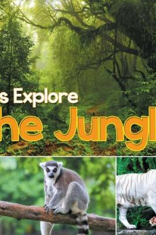 Cover of Let's Explore the Jungle