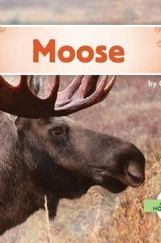 Cover of Moose