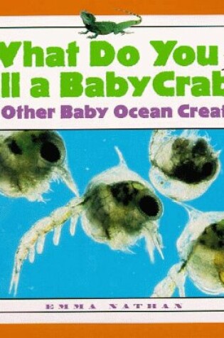 Cover of What Do You Call a Baby Crab?