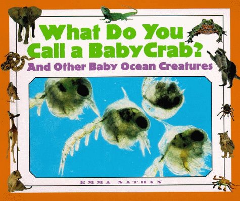 Book cover for What Do You Call a Baby Crab?
