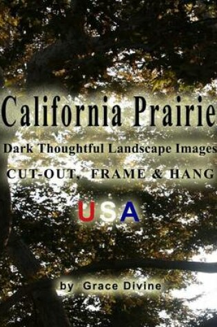 Cover of California Prairie Dark Thoughtful Landscape Images Cut-out, Frame & Hang USA