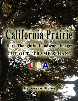 Book cover for California Prairie Dark Thoughtful Landscape Images Cut-out, Frame & Hang USA