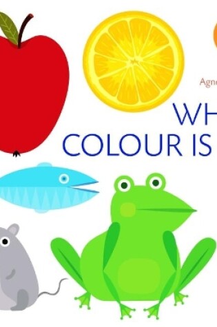 Cover of What Color Is It?