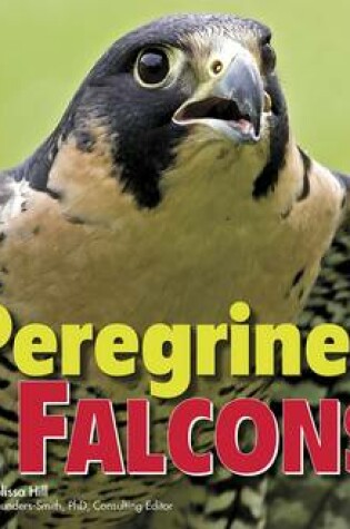 Cover of Peregrine Falcons