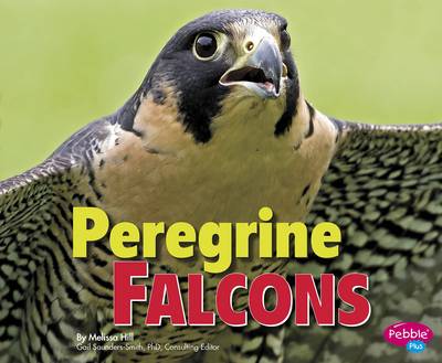 Book cover for Peregrine Falcons