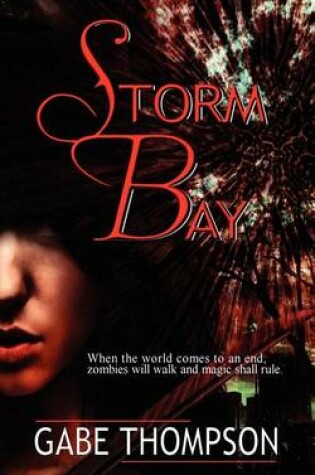 Cover of Storm Bay