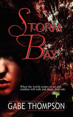 Book cover for Storm Bay