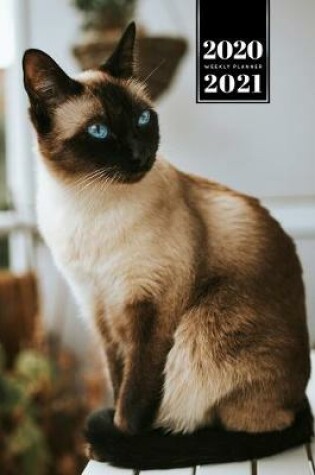 Cover of Siamese Cat Kitten Kitty Tomcat Week Planner Organizer 2020 / 2021 - Proud Look