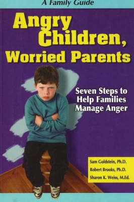 Book cover for Angry Children, Worried Parents