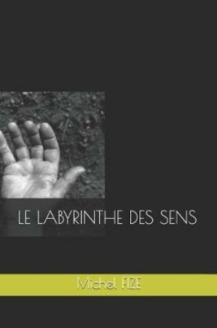 Cover of Le Labyrinthe Des Sens