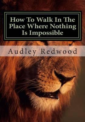 Book cover for How to walk in the place where nothing is impossible