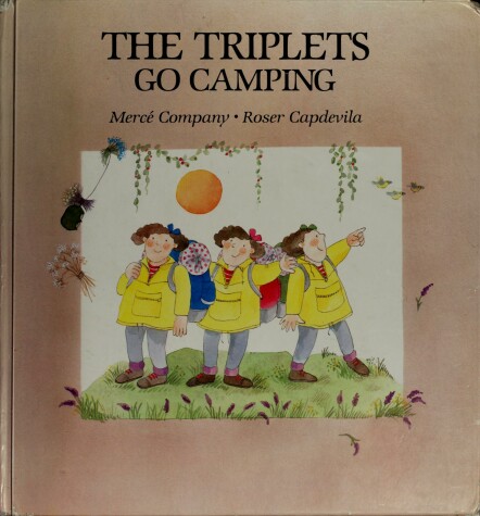 Book cover for Triplets Go Camping