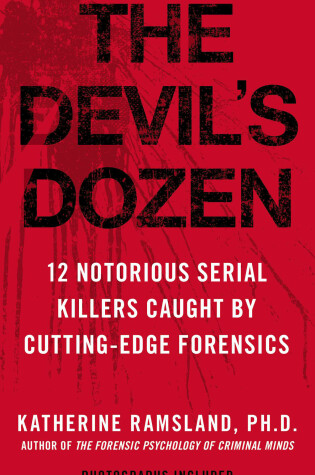 Cover of The Devil's Dozen