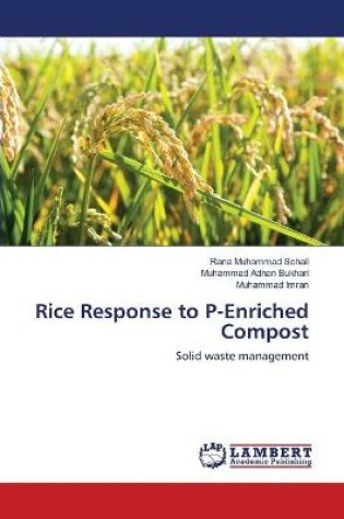 Cover of Rice Response to P-Enriched Compost