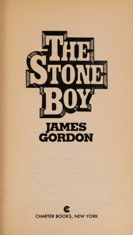 Book cover for The Stone Boy