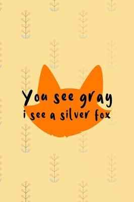 Book cover for You See Gray I See A Silver Fox