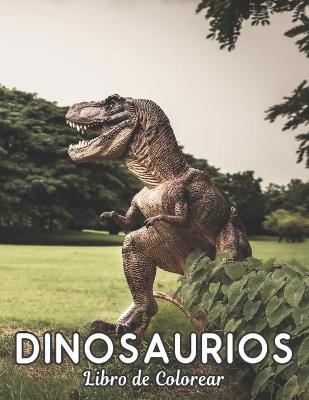 Book cover for Libro de Colorear Dinosaurios