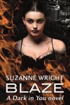 Book cover for Blaze