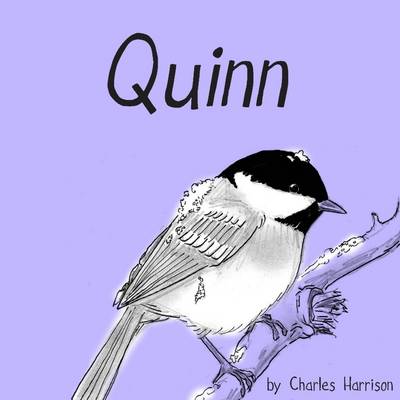 Book cover for Quinn