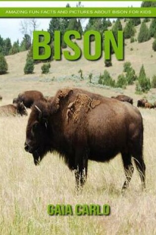 Cover of Bison