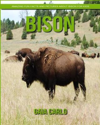 Book cover for Bison