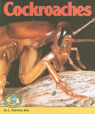 Cover of Cockroaches