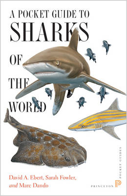 Cover of A Pocket Guide to Sharks of the World