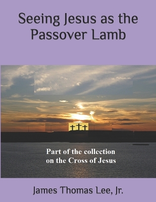 Book cover for Seeing Jesus as the Passover Lamb