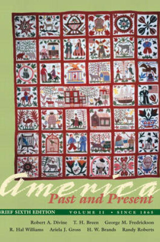 Cover of America Past and Present, Brief Edition, Volume II (since 1865), Primary Source Edition