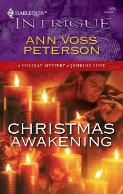 Book cover for Christmas Awakening