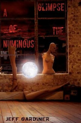 Cover of A Glimpse of the Numinous (Paperback)