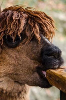 Book cover for The Hungry Alpaca Journal - Mmm, Tables Taste Good!